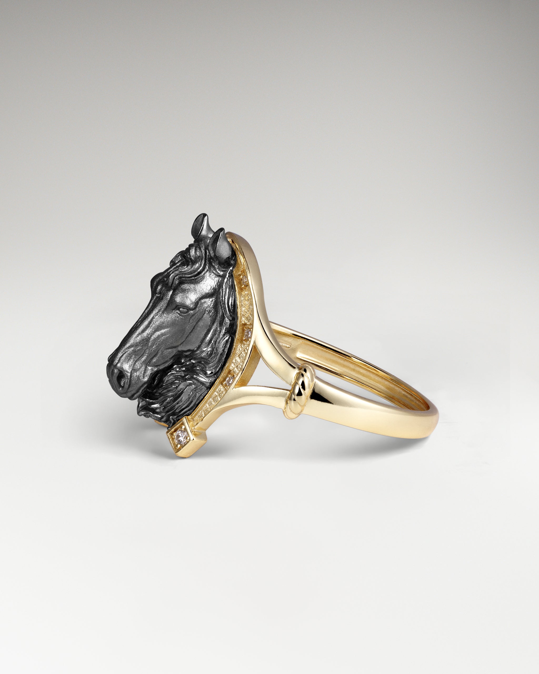 Horseshoe Sculpture Ring