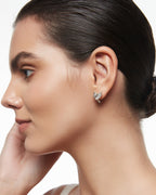 Aurelian Raptor Studs