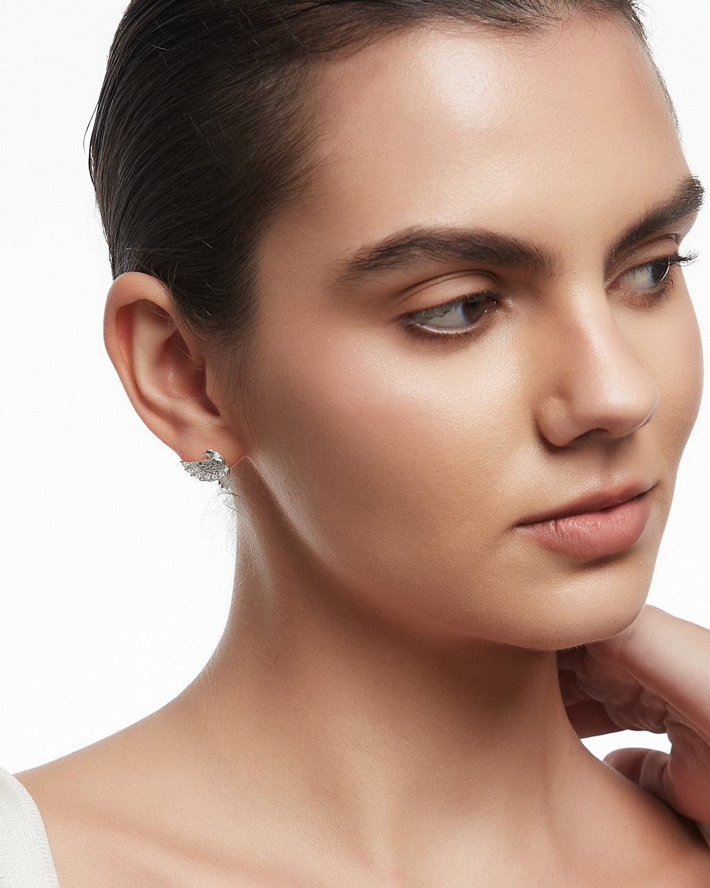 Aurelian Raptor Studs