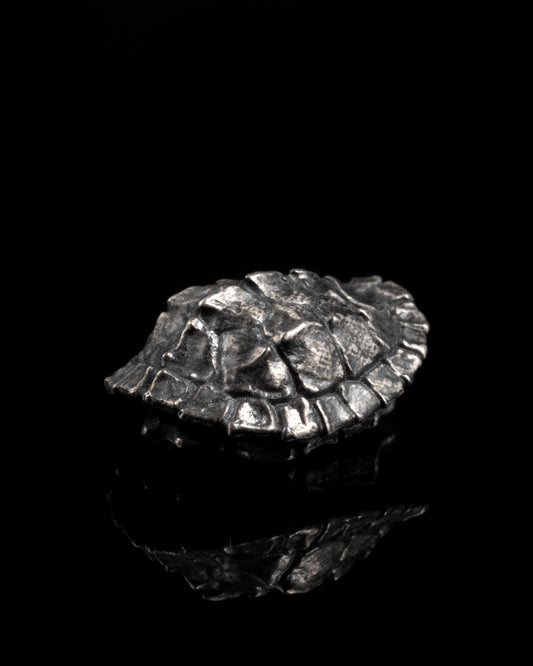 Turtle Shell Spacer In Sterling Silver